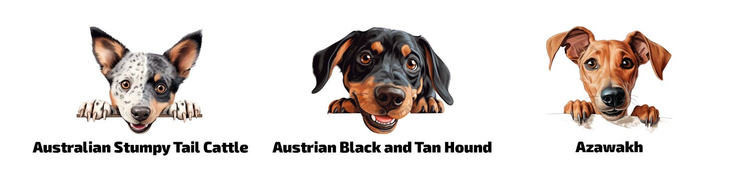 Personalisierte Fußmatte mit Hund | Haustier Willkommen Matte | Wunschname | Geschenk für Hundebesitzer | Türmatte individuell bedruckt