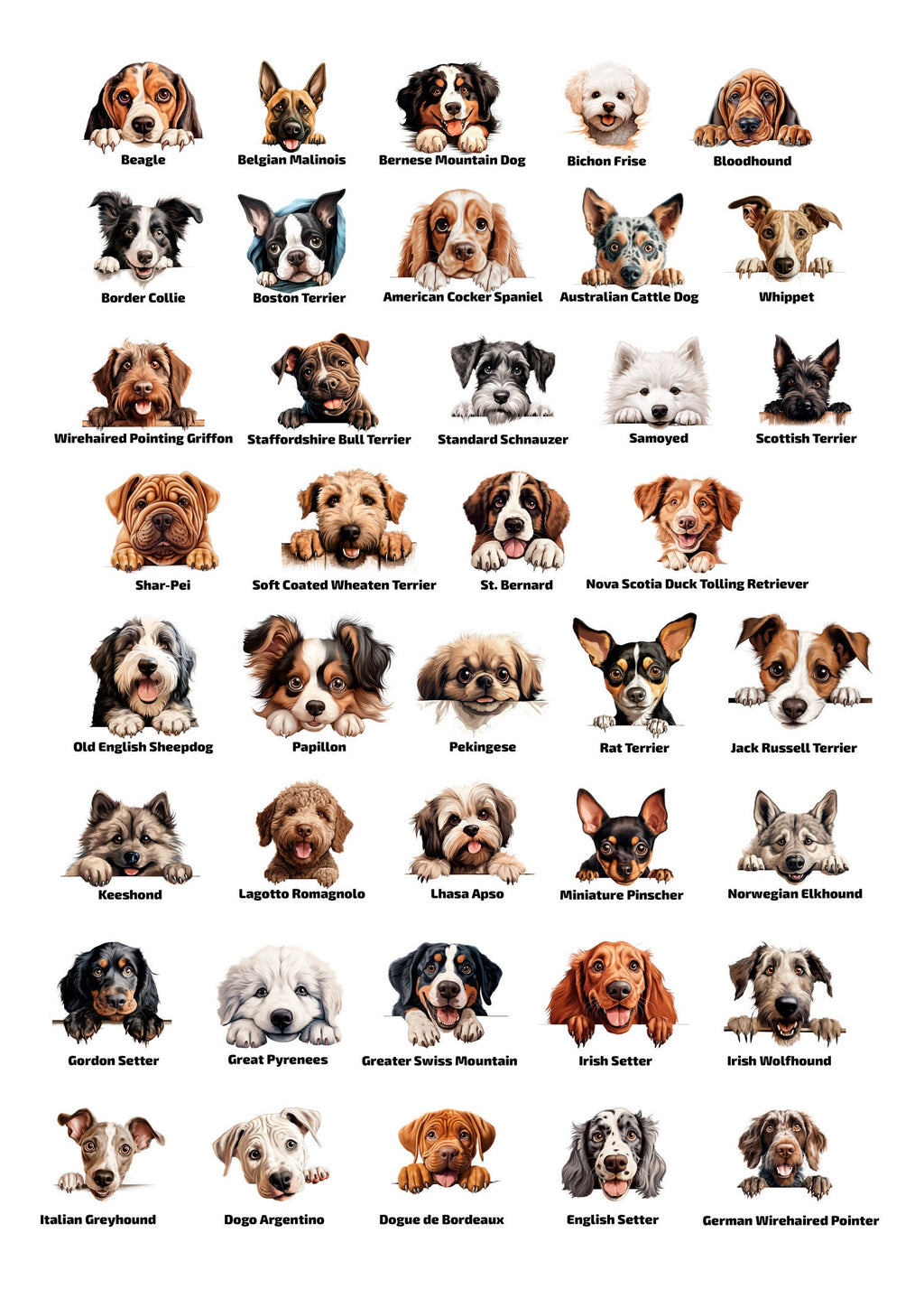 Personalisierte Fußmatte mit Hund | Haustier Willkommen Matte | Wunschname | Geschenk für Hundebesitzer | Türmatte individuell bedruckt