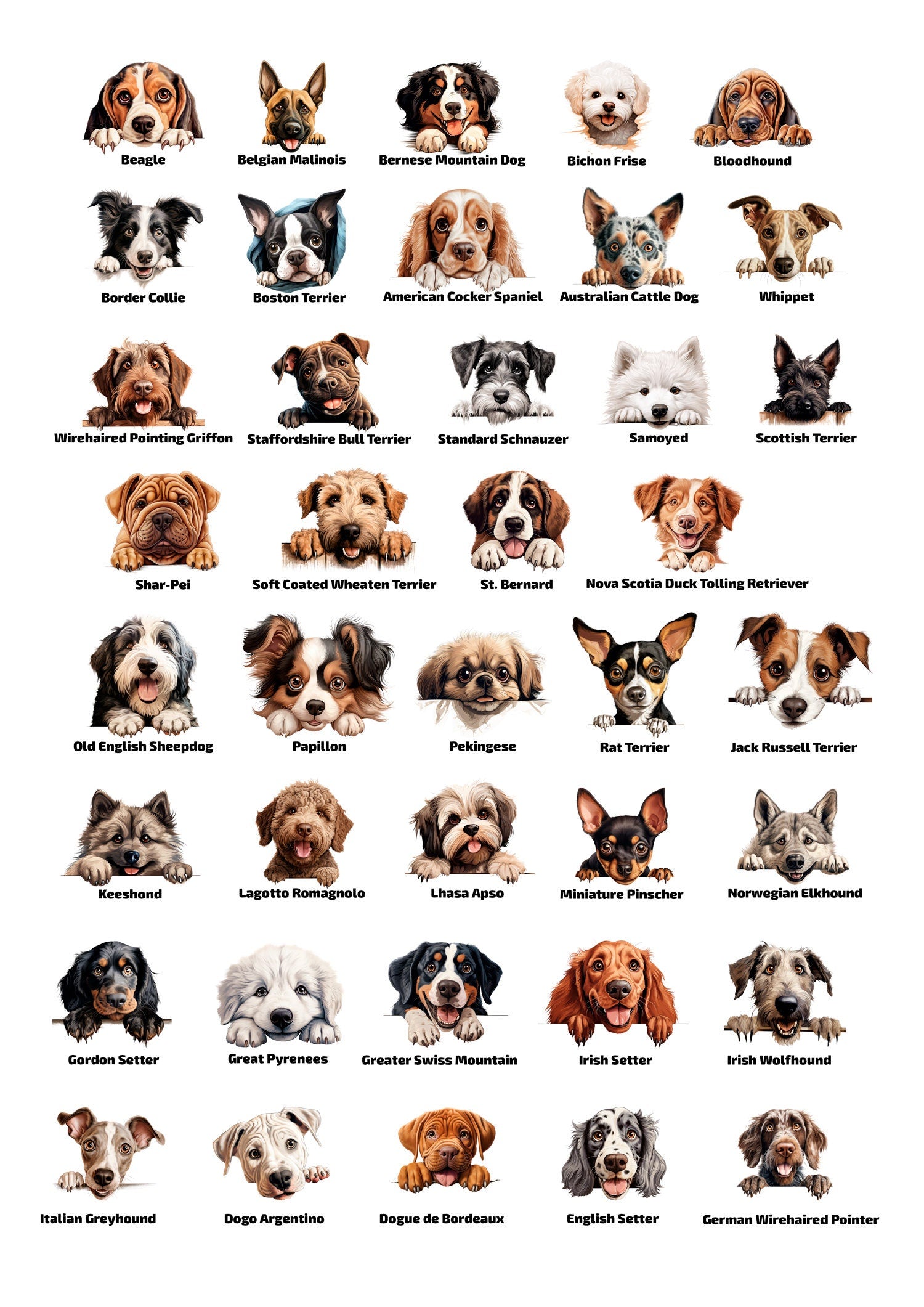 Personalisierte Fußmatte mit Hund | Haustier Willkommen Matte | Wunschname | Geschenk für Hundebesitzer | Türmatte individuell bedruckt